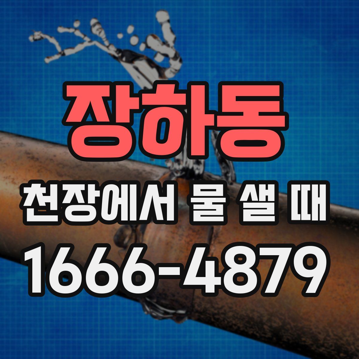 장하동 천장에서 물 샐 때