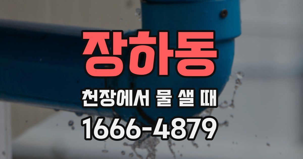 장하동 천장에서 물 샐 때