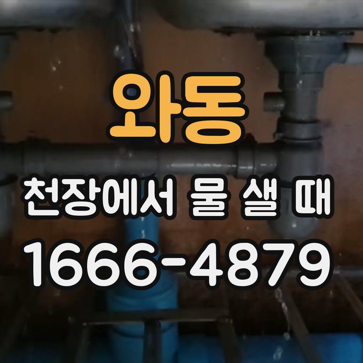 와동 천장에서 물 샐 때