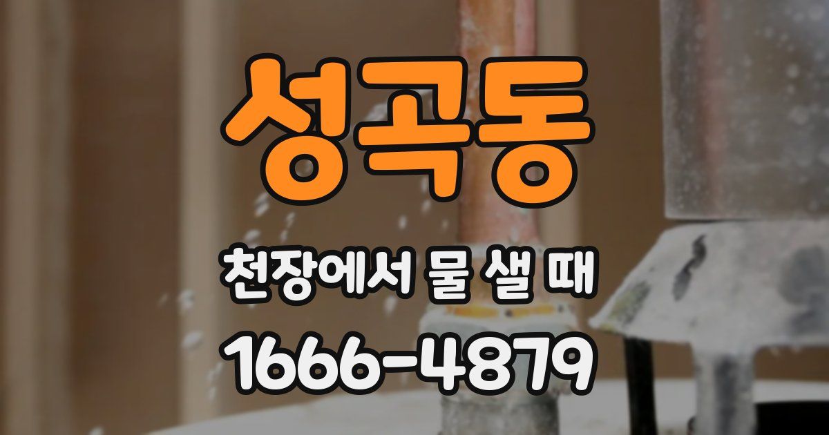 성곡동 천장에서 물 샐 때