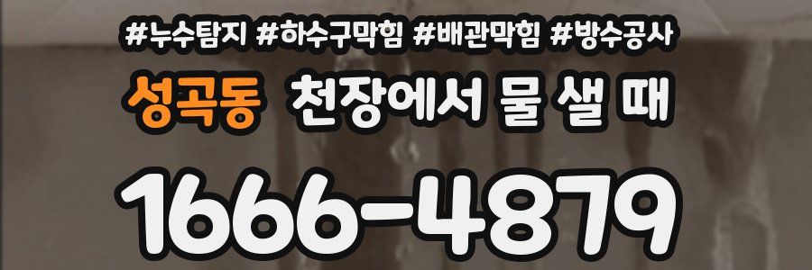 성곡동 천장에서 물 샐 때