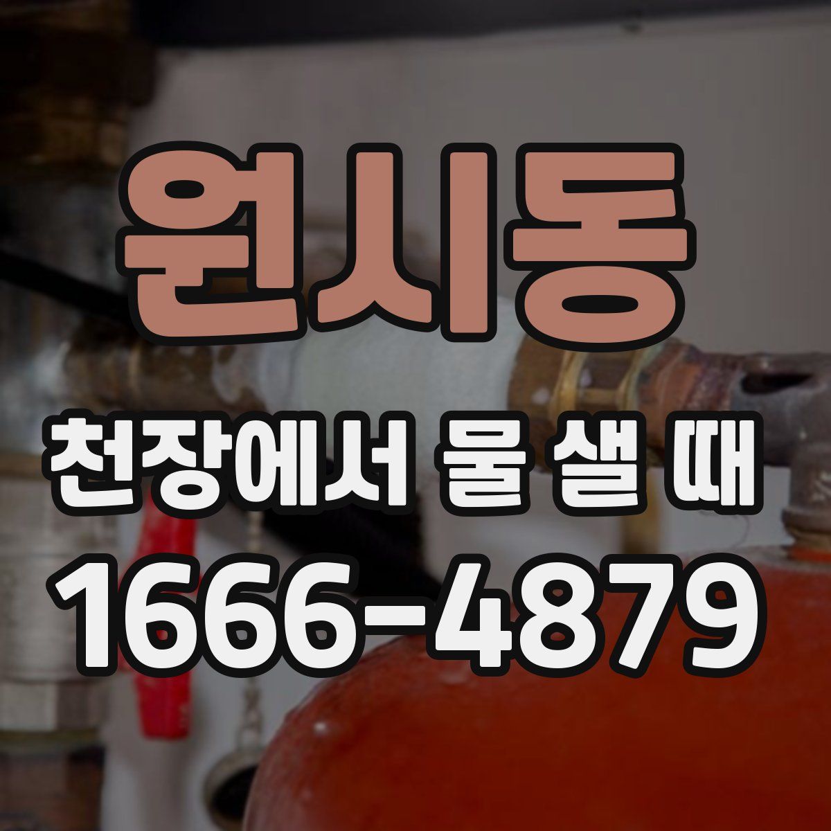 원시동 천장에서 물 샐 때