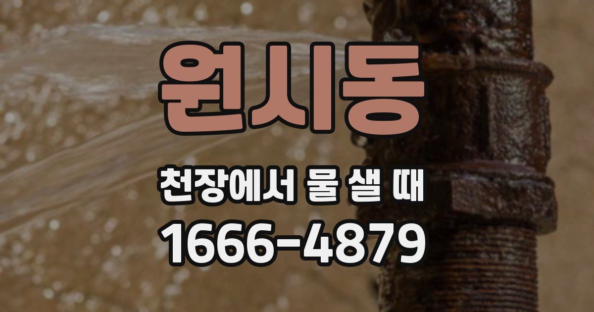 원시동 천장에서 물 샐 때