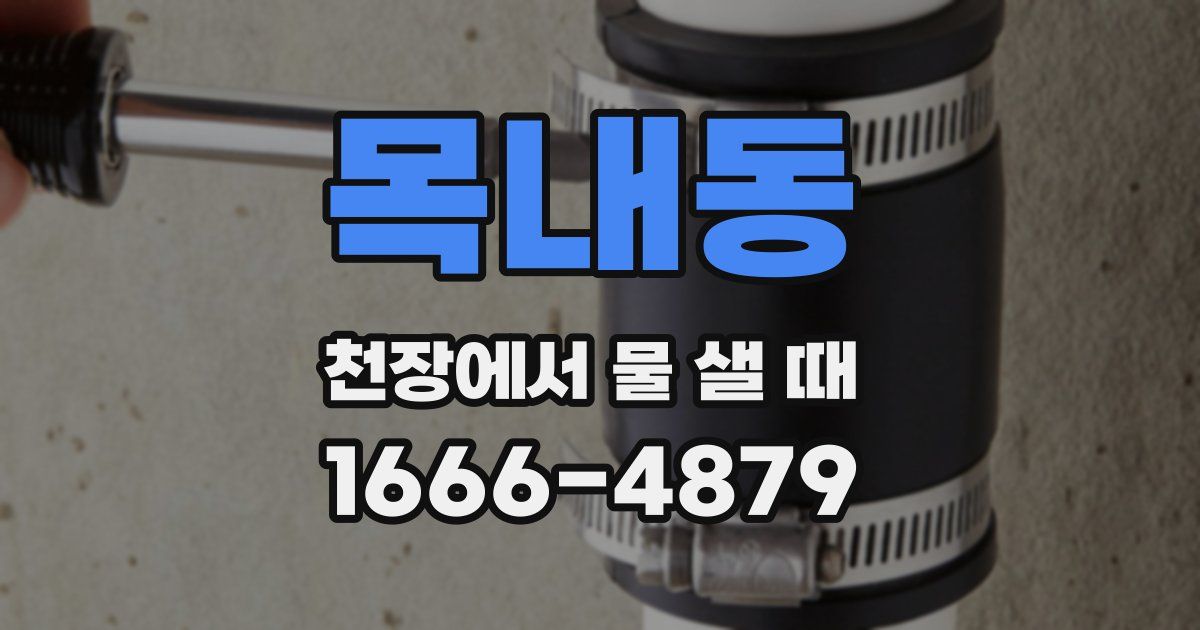 목내동 천장에서 물 샐 때