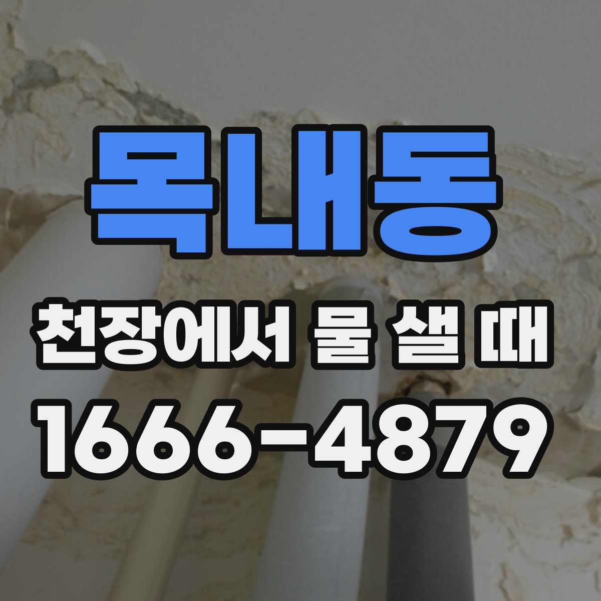목내동 천장에서 물 샐 때