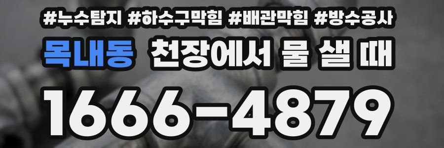 목내동 천장에서 물 샐 때