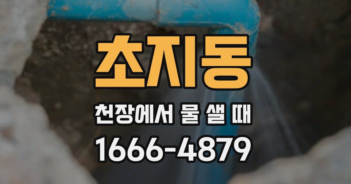 초지동 천장에서 물 샐 때