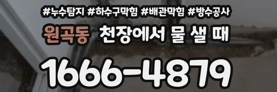 원곡동 천장에서 물 샐 때