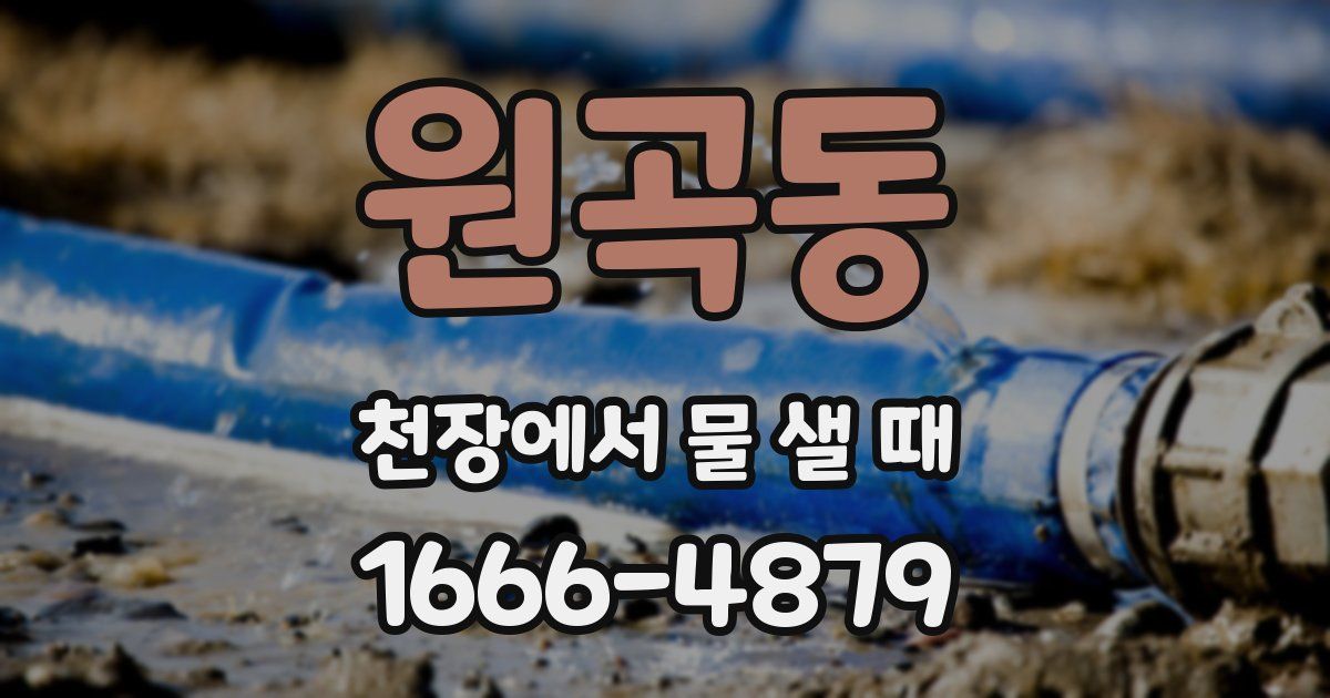 원곡동 천장에서 물 샐 때