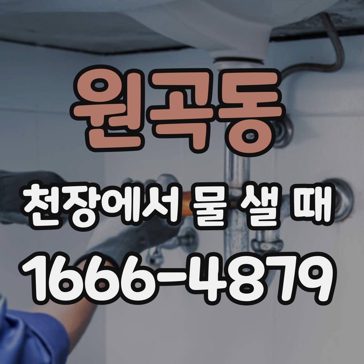 원곡동 천장에서 물 샐 때