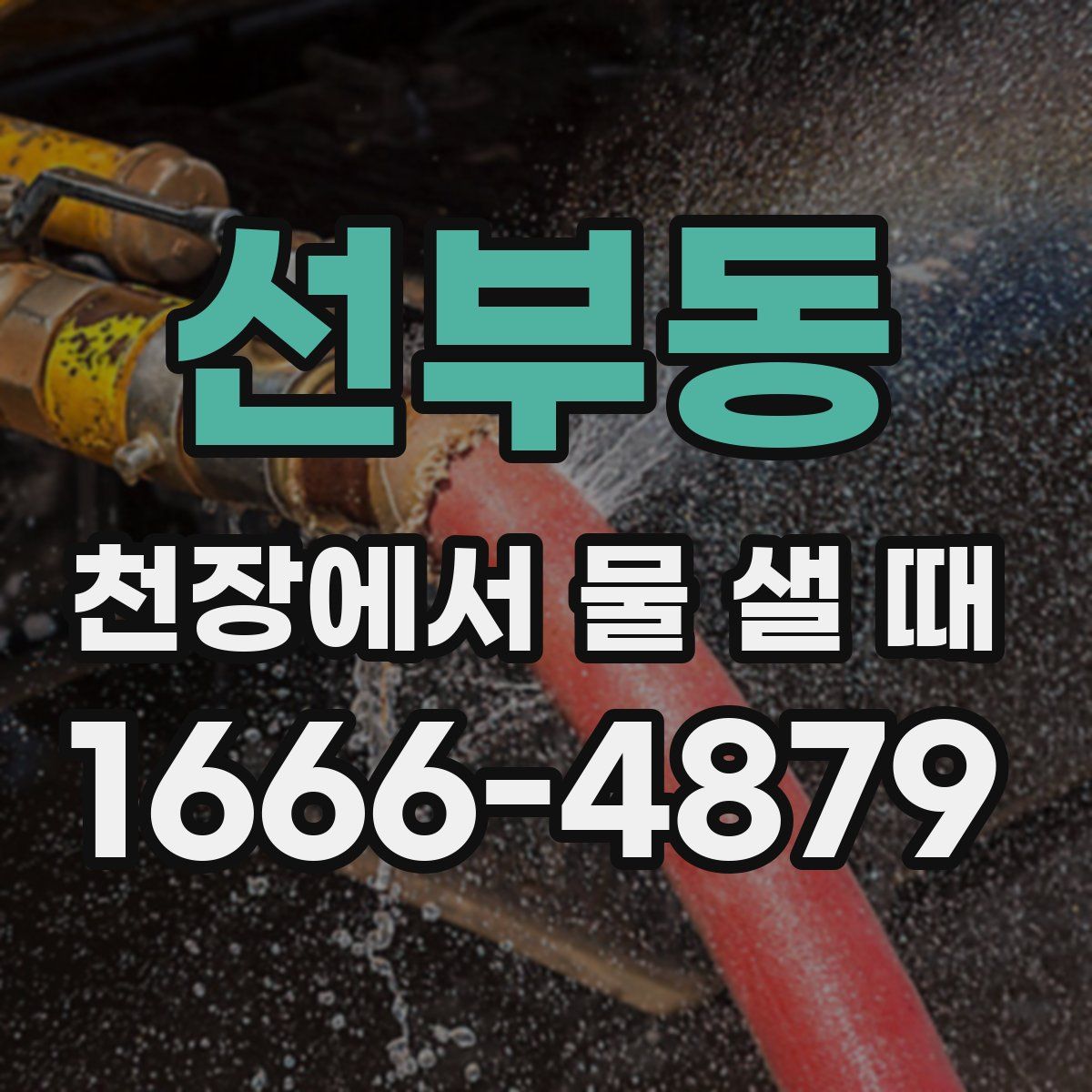 선부동 천장에서 물 샐 때