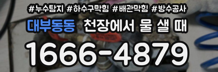 대부동동 천장에서 물 샐 때