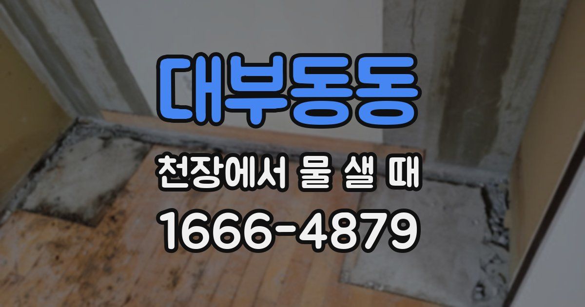 대부동동 천장에서 물 샐 때
