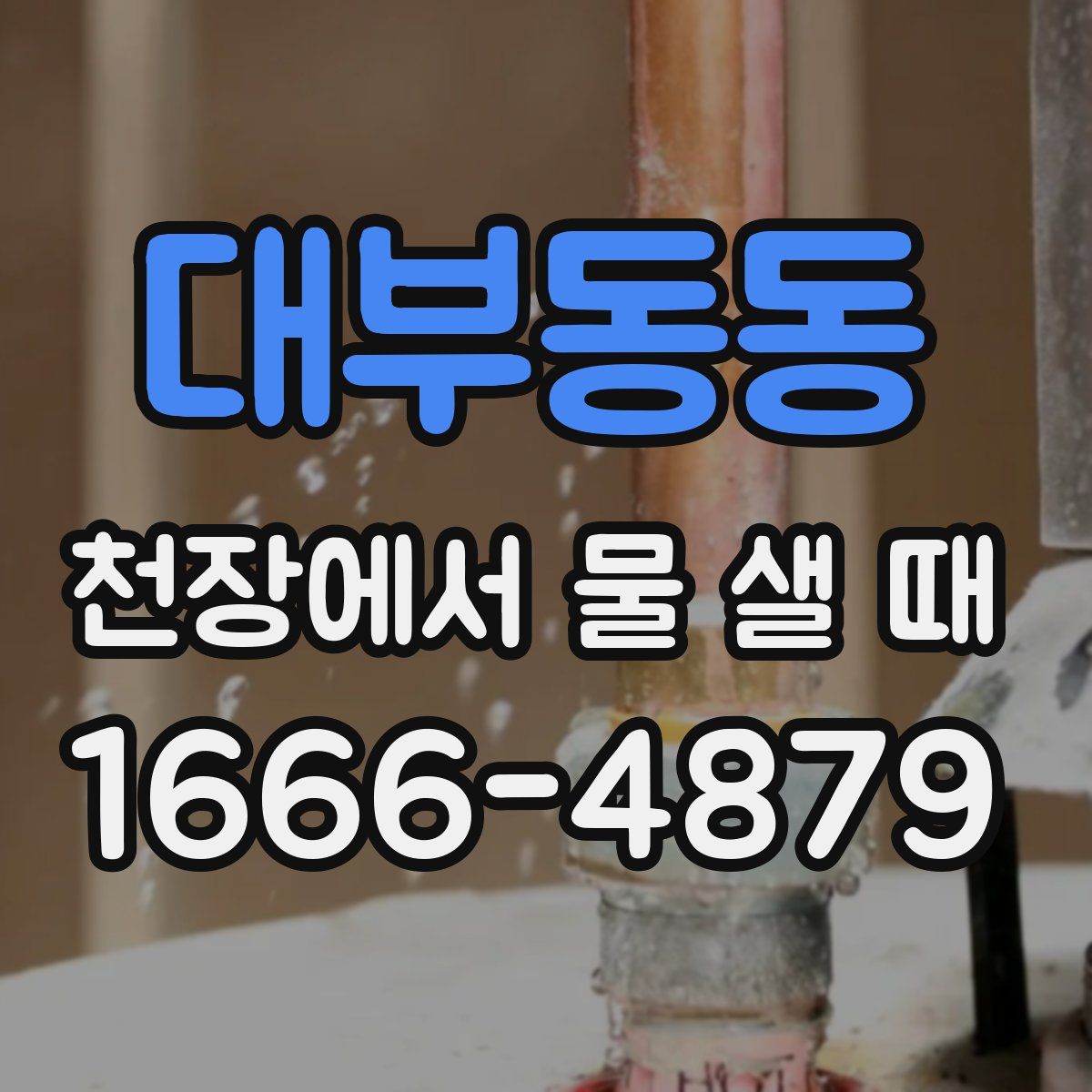 대부동동 천장에서 물 샐 때