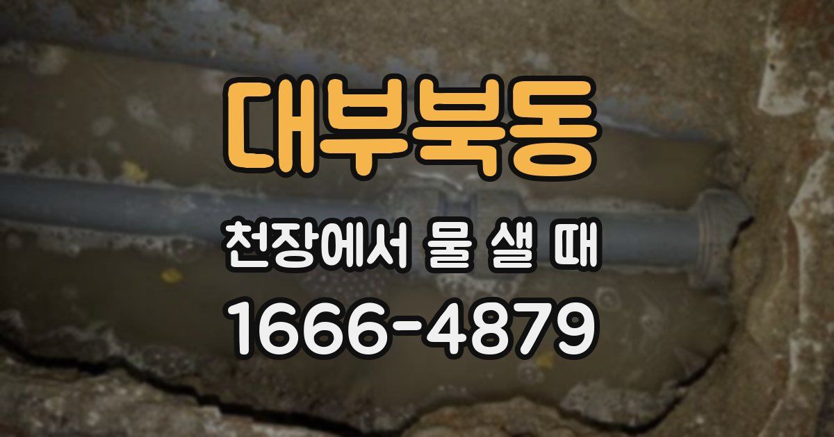 대부북동 천장에서 물 샐 때