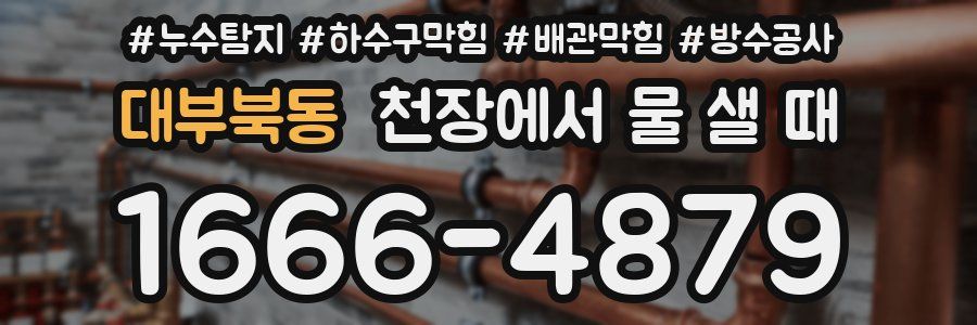 대부북동 천장에서 물 샐 때
