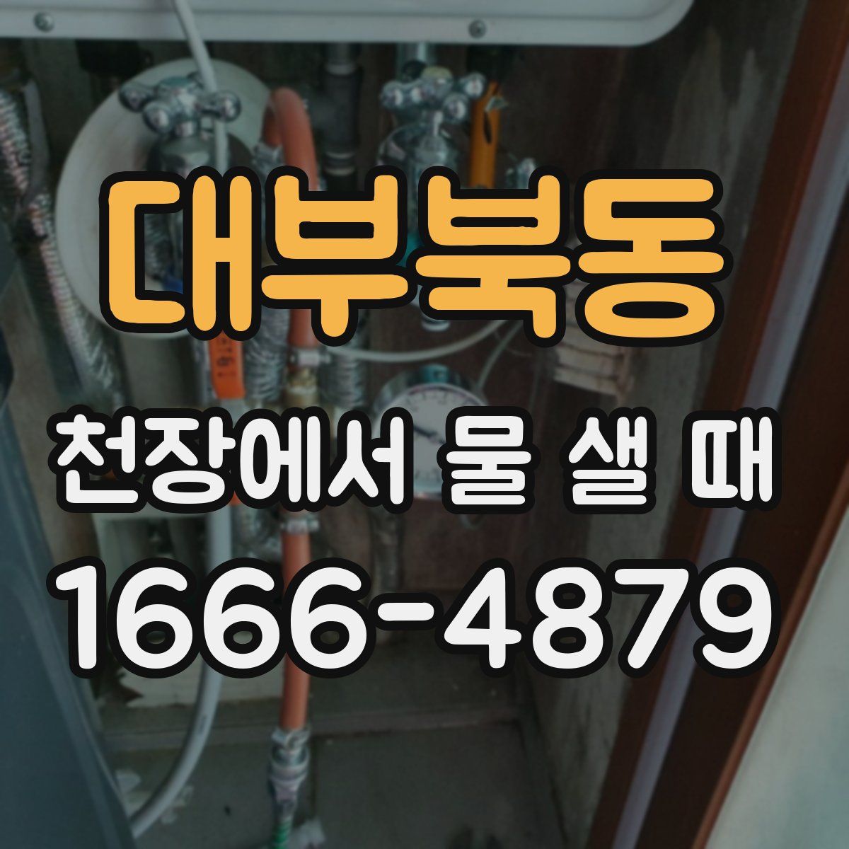 대부북동 천장에서 물 샐 때