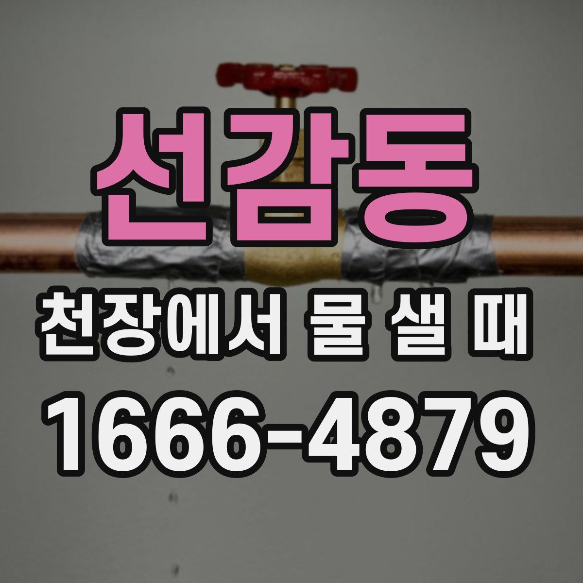 선감동 천장에서 물 샐 때