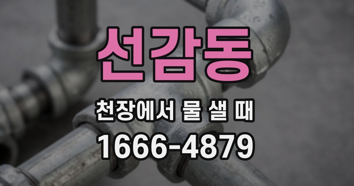 선감동 천장에서 물 샐 때