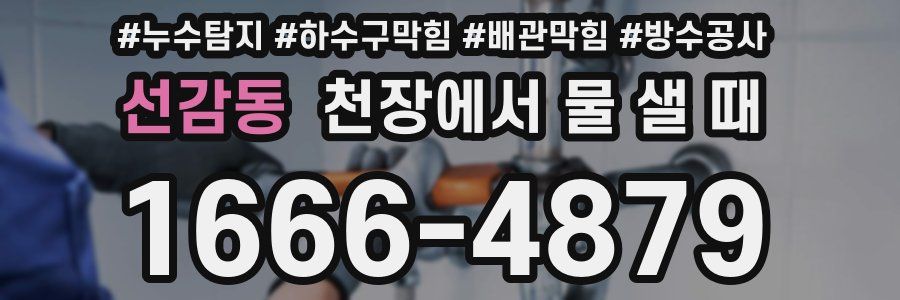 선감동 천장에서 물 샐 때