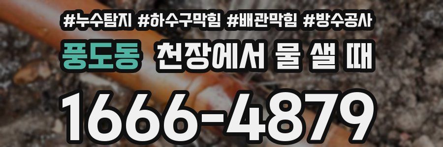풍도동 천장에서 물 샐 때