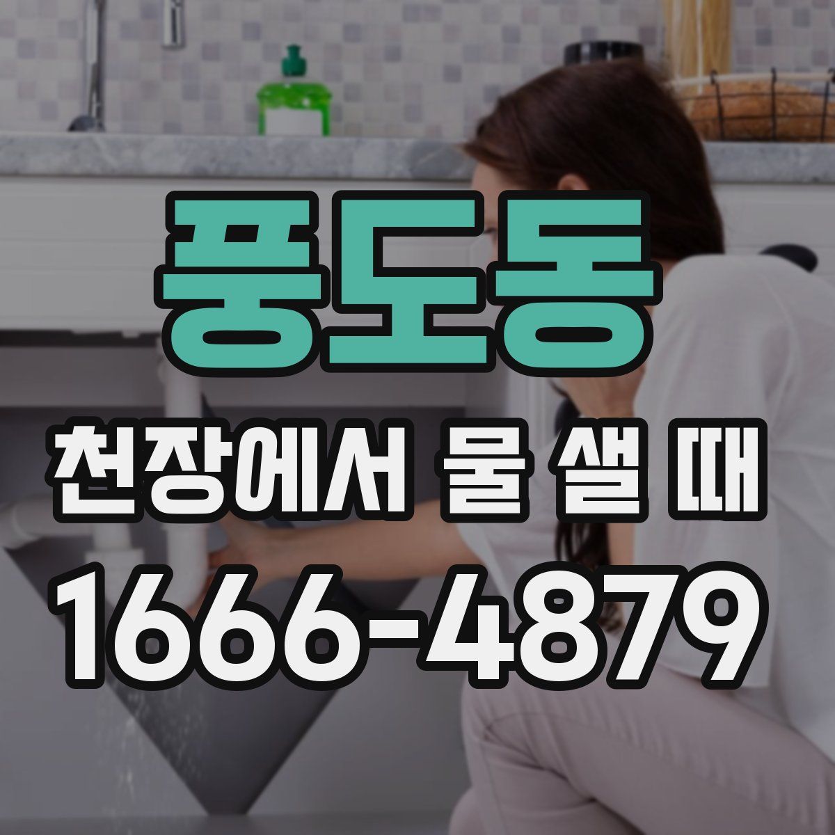 풍도동 천장에서 물 샐 때