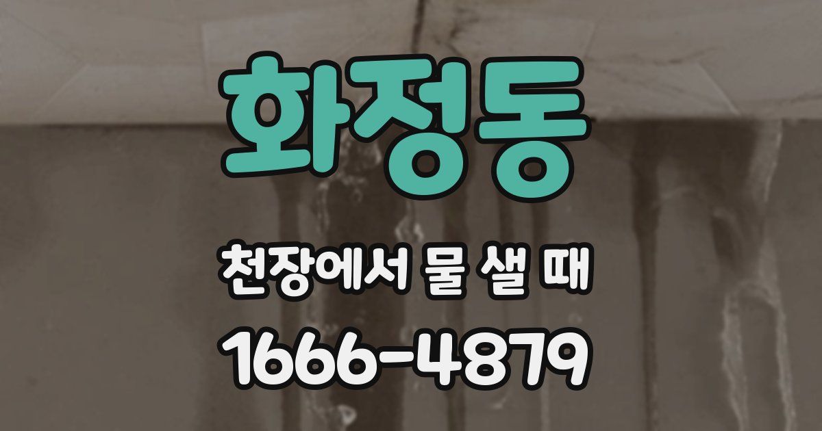 화정동 천장에서 물 샐 때