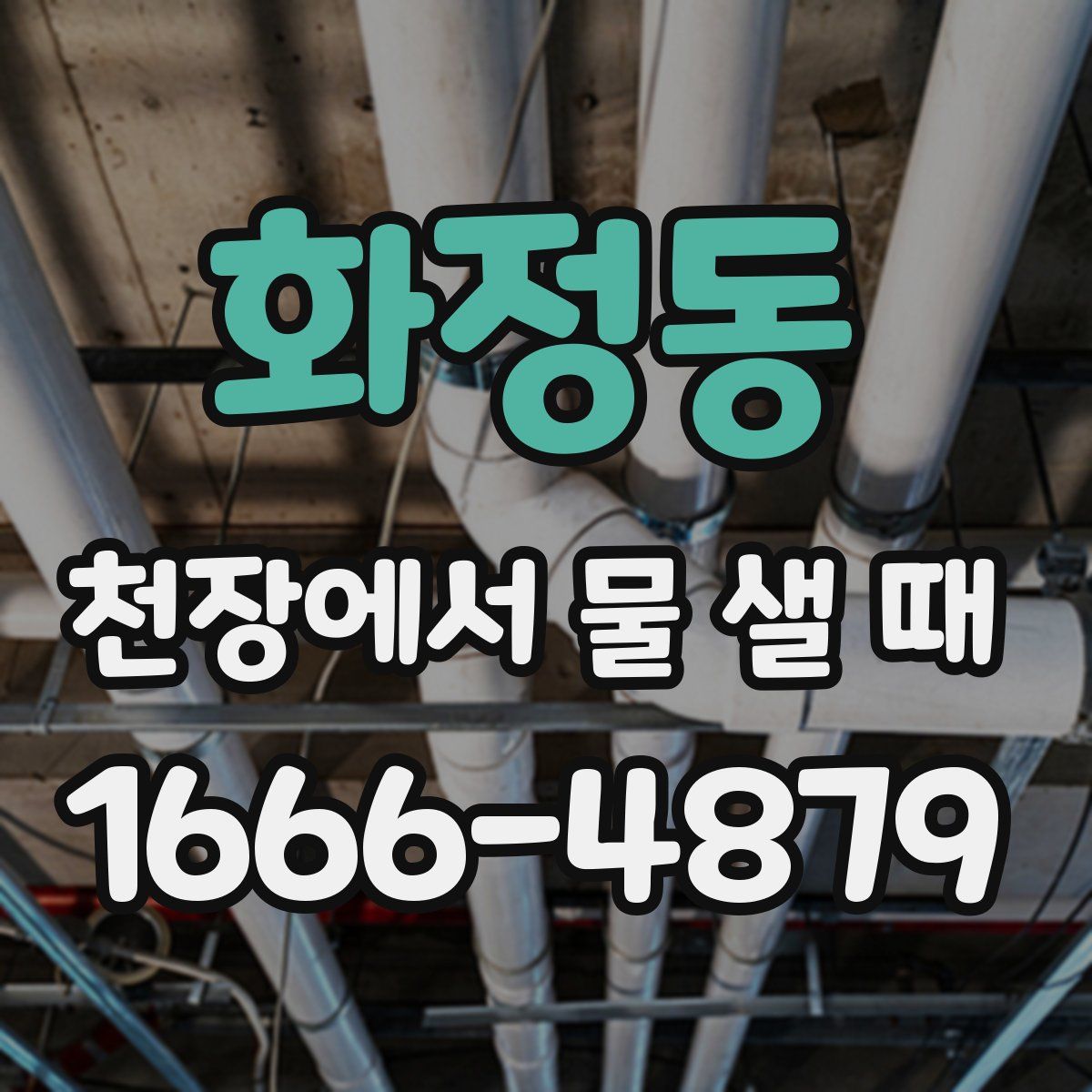 화정동 천장에서 물 샐 때