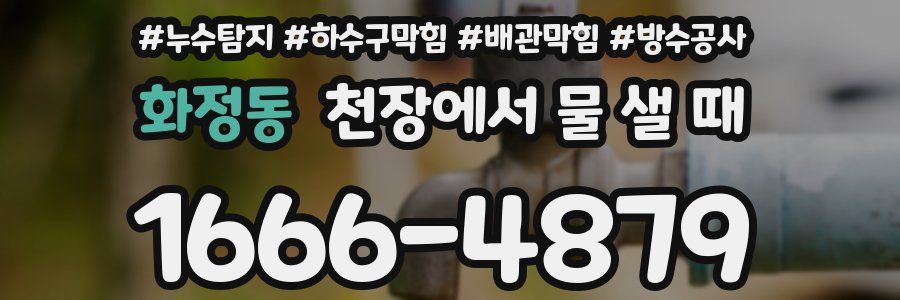 화정동 천장에서 물 샐 때