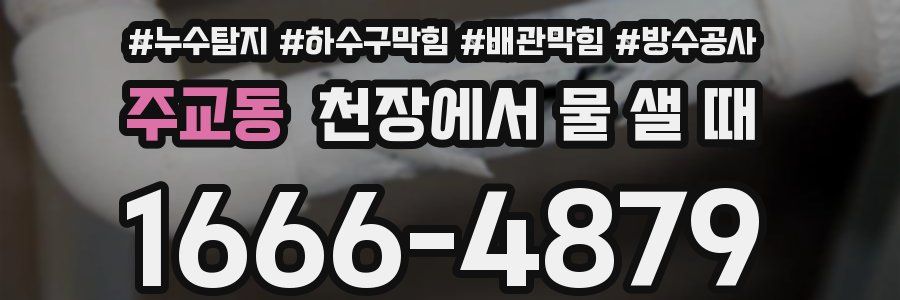 주교동 천장에서 물 샐 때