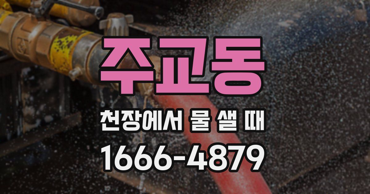 주교동 천장에서 물 샐 때