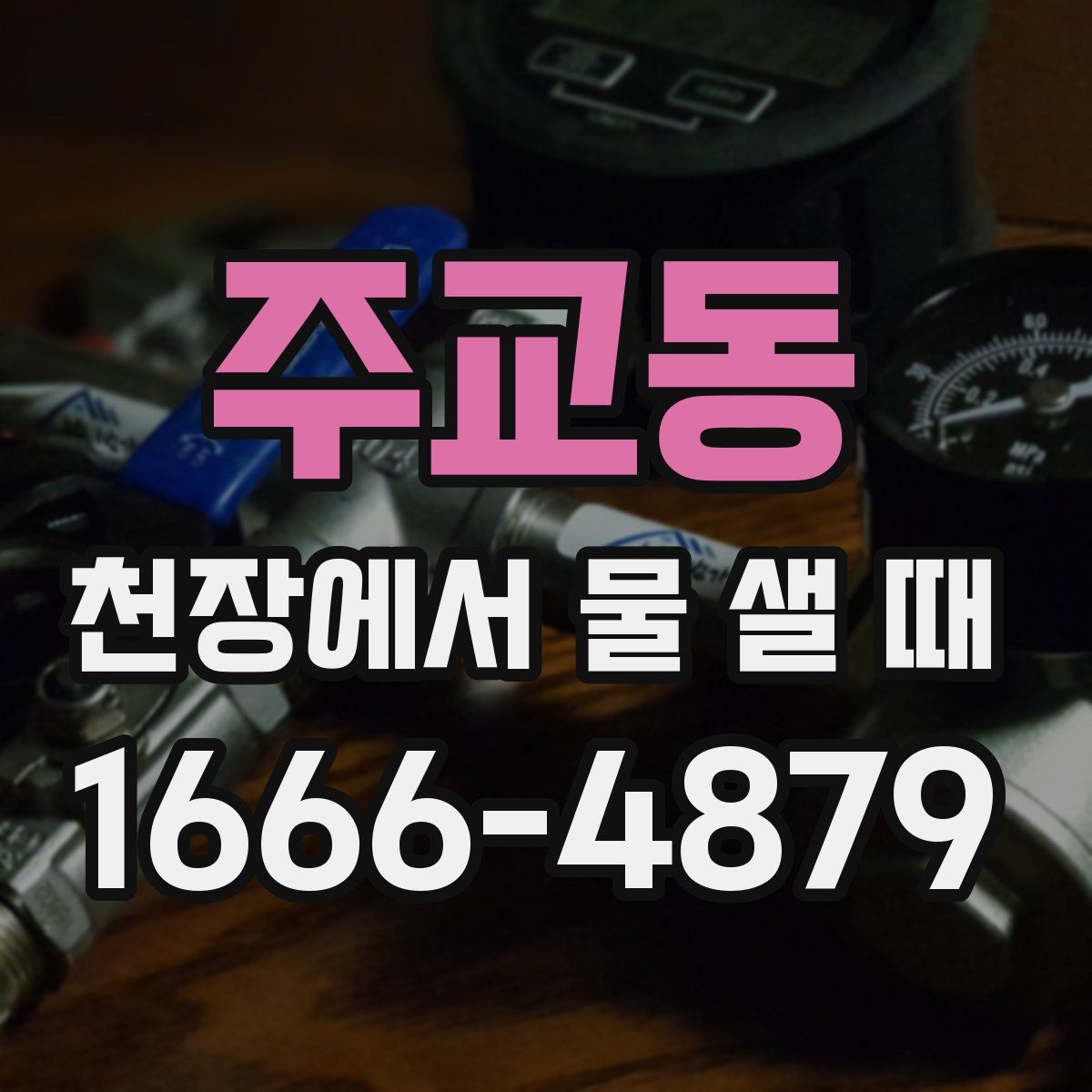 주교동 천장에서 물 샐 때