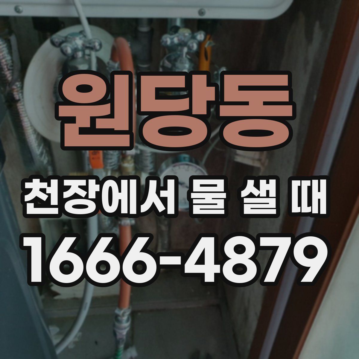 원당동 천장에서 물 샐 때