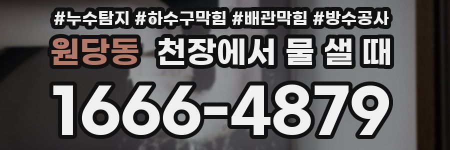 원당동 천장에서 물 샐 때