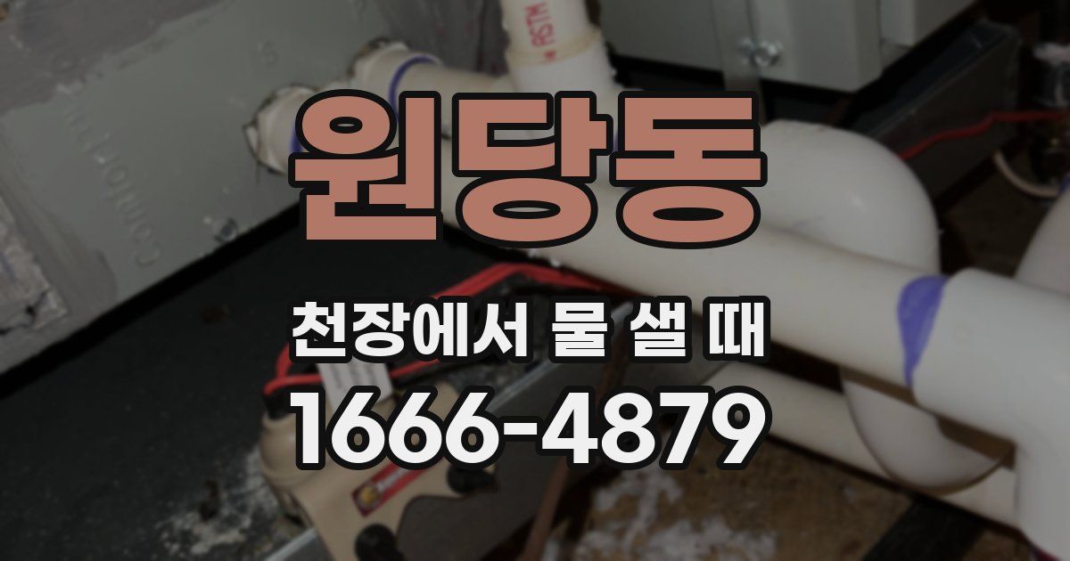 원당동 천장에서 물 샐 때