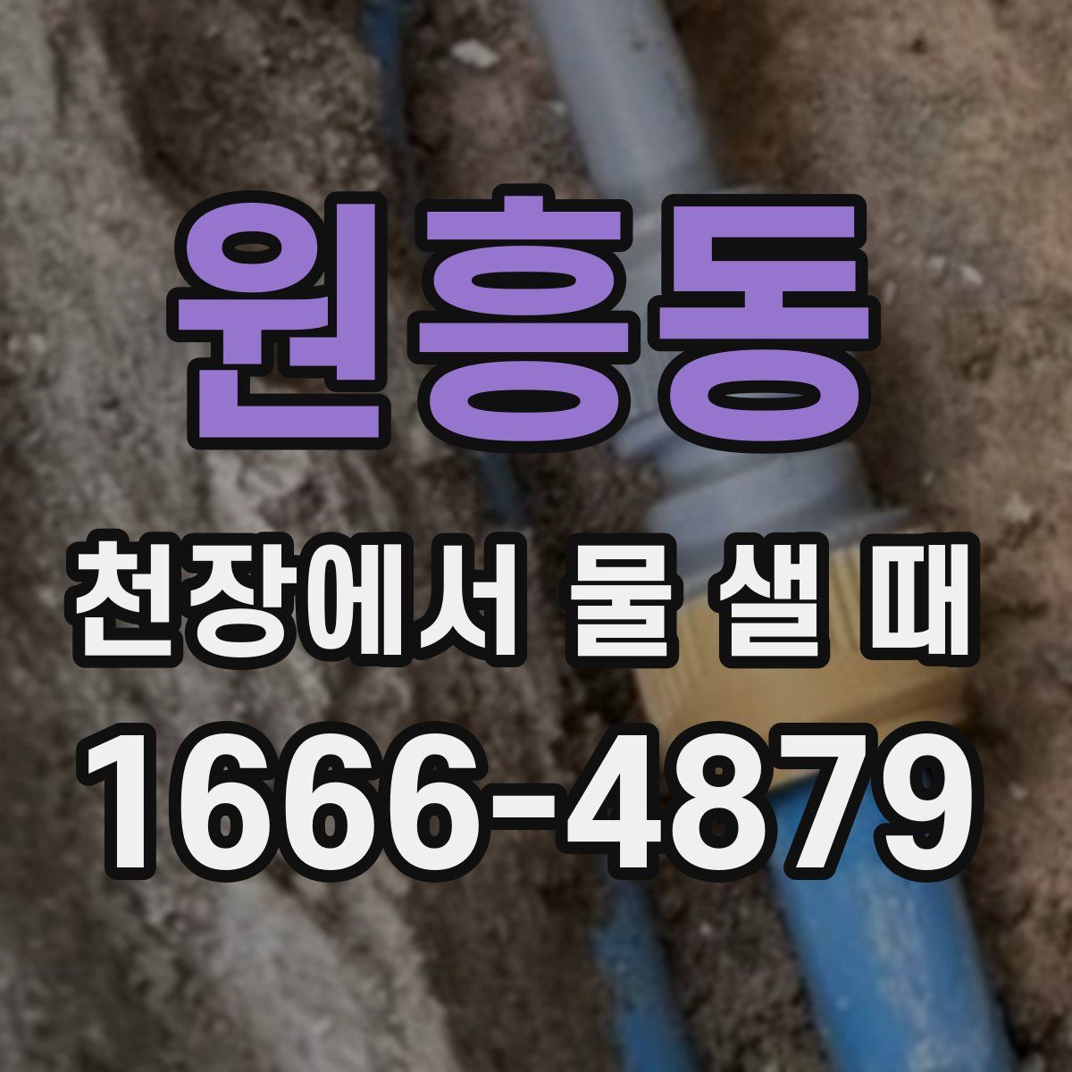 원흥동 천장에서 물 샐 때