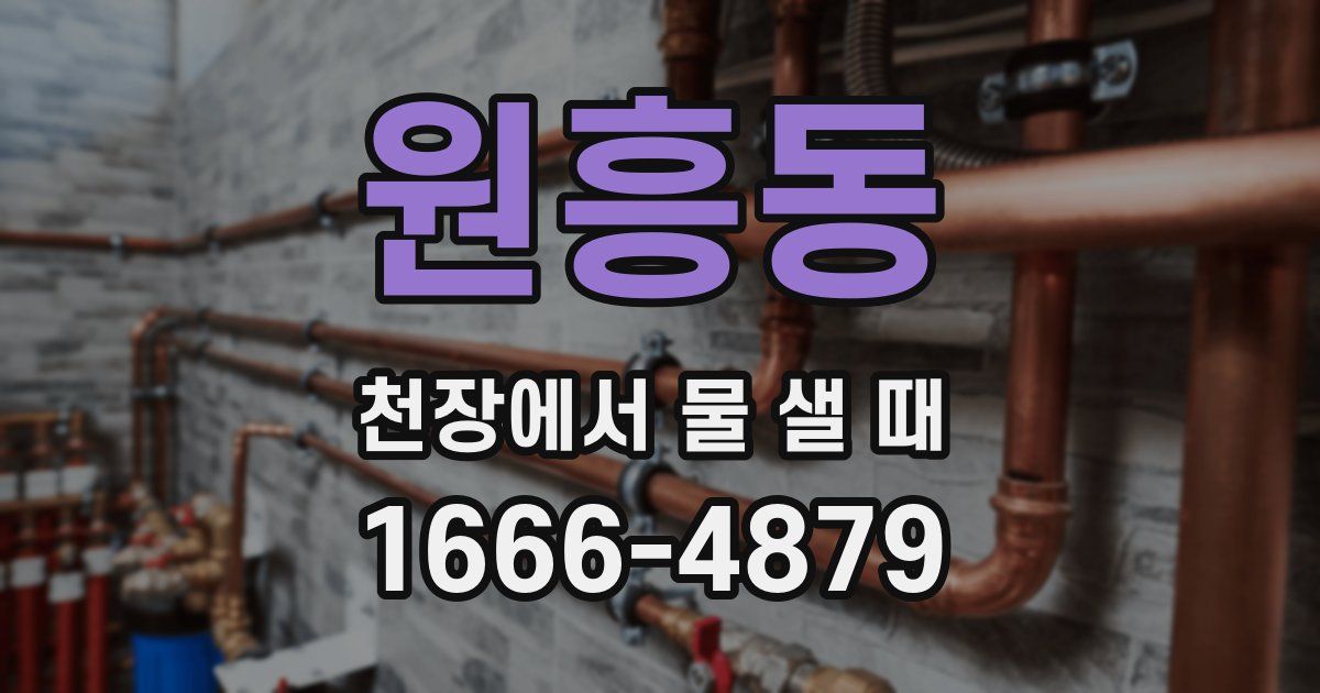 원흥동 천장에서 물 샐 때