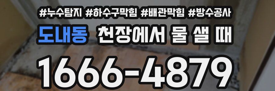 도내동 천장에서 물 샐 때