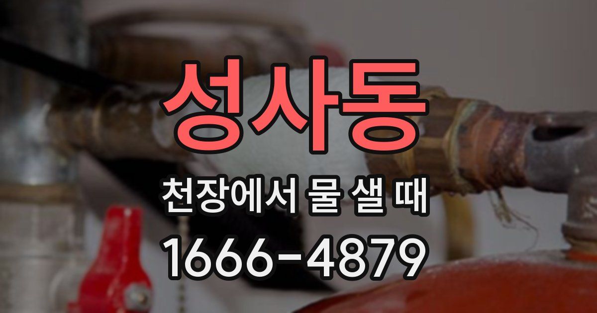 성사동 천장에서 물 샐 때