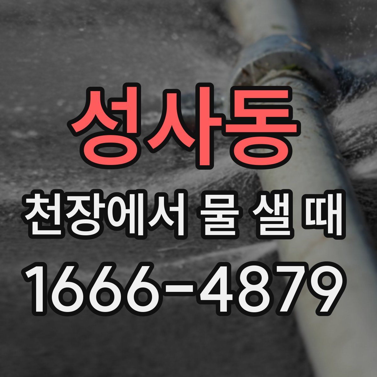 성사동 천장에서 물 샐 때