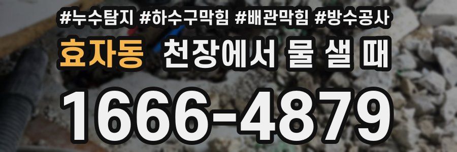 효자동 천장에서 물 샐 때