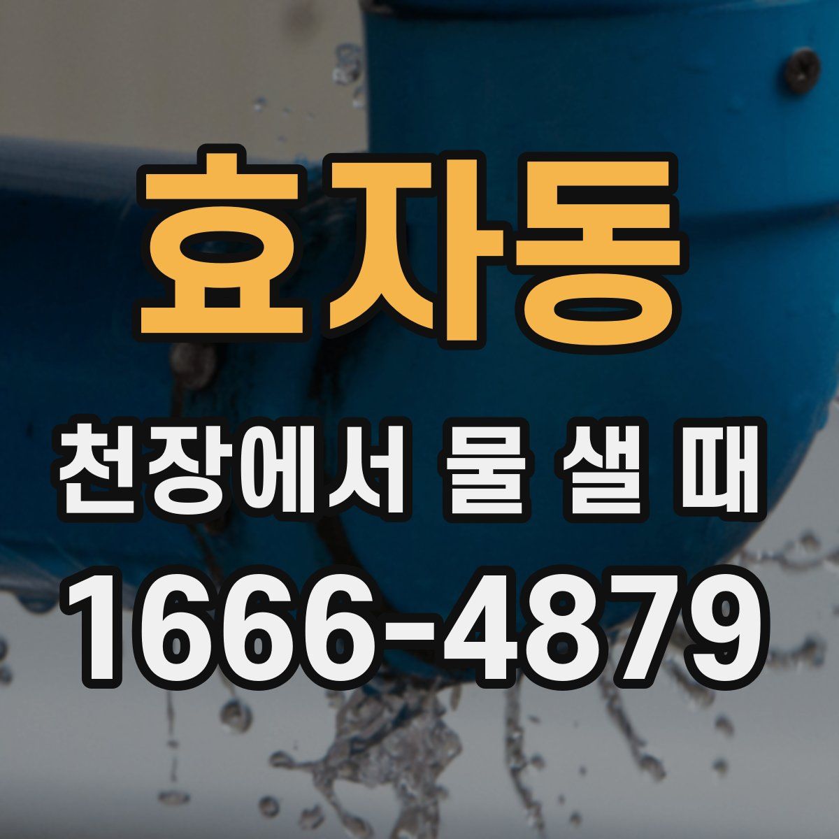 효자동 천장에서 물 샐 때