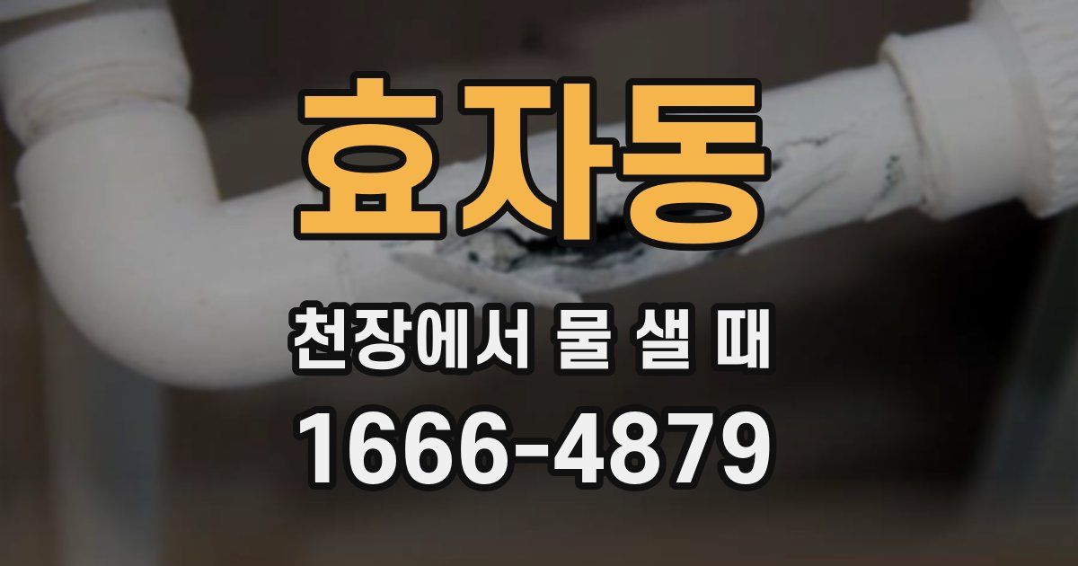 효자동 천장에서 물 샐 때