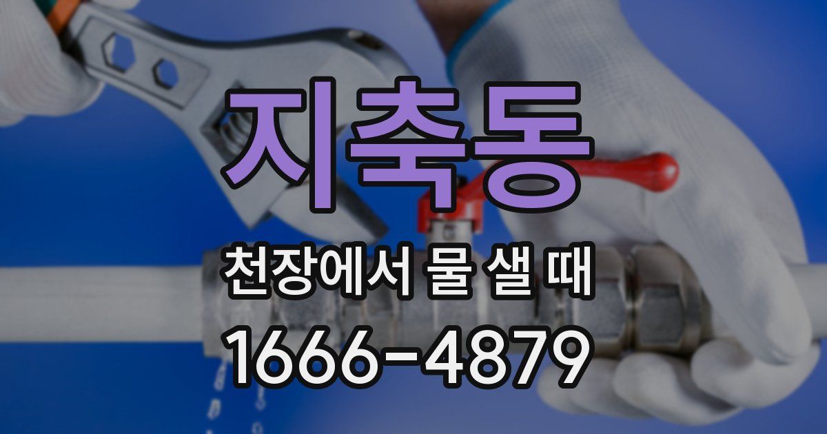 지축동 천장에서 물 샐 때