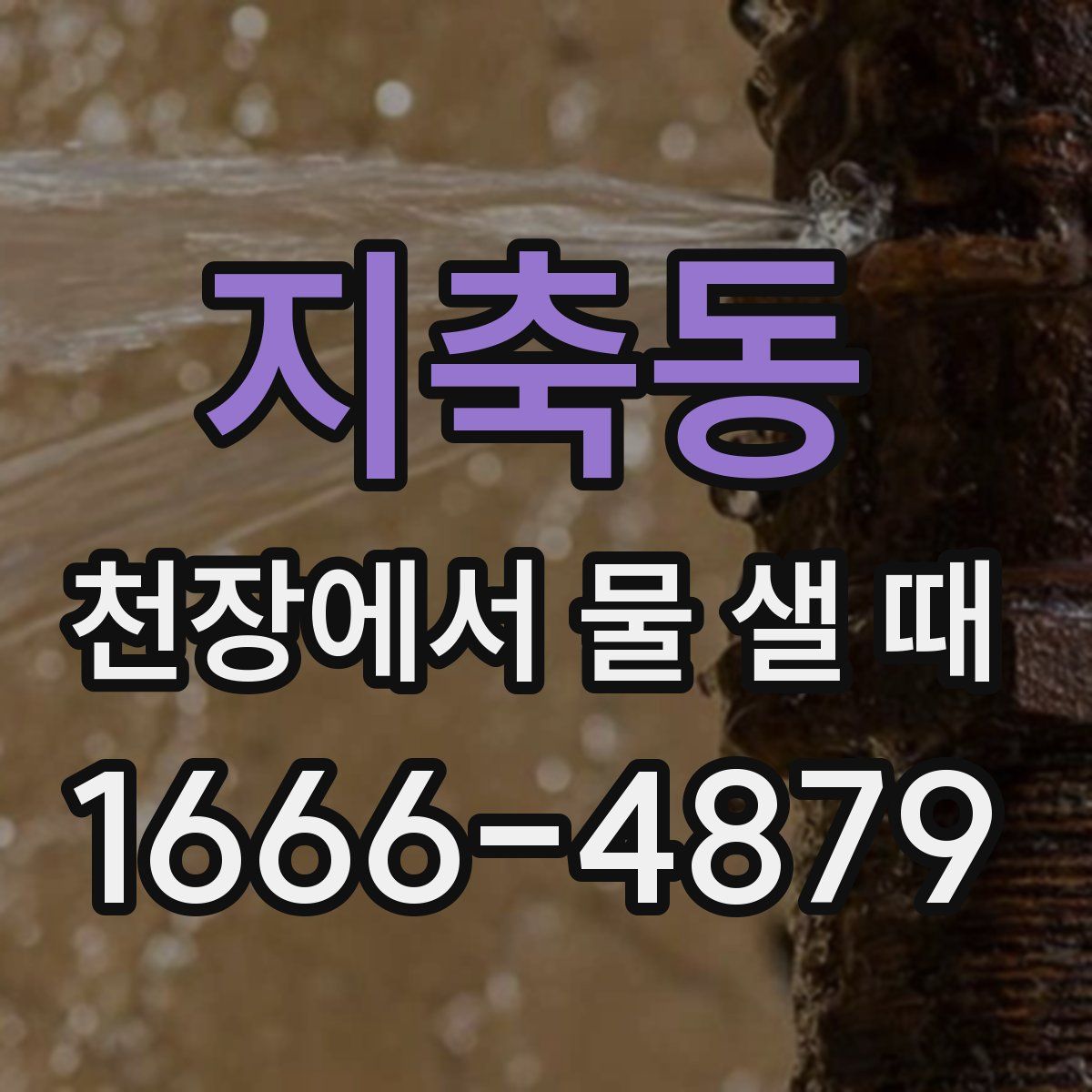지축동 천장에서 물 샐 때
