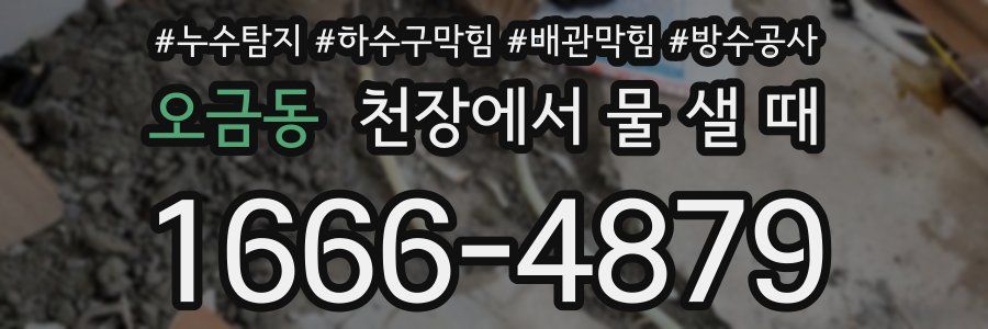 오금동 천장에서 물 샐 때
