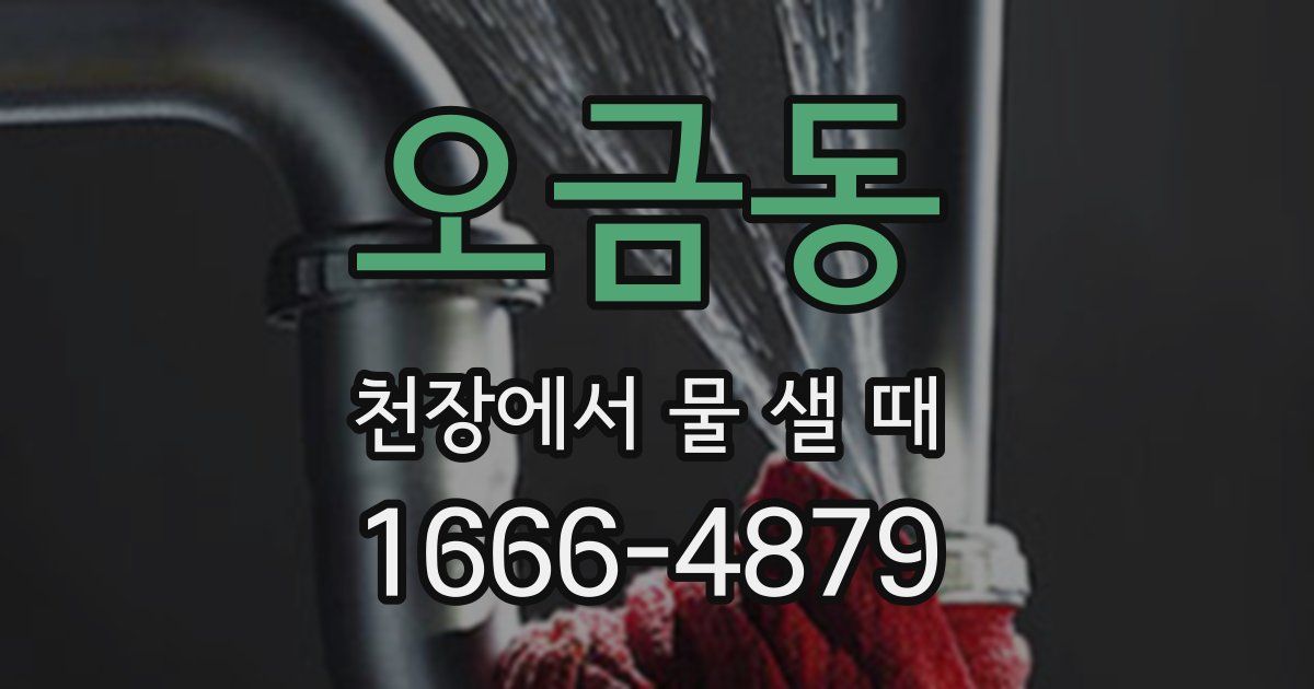 오금동 천장에서 물 샐 때