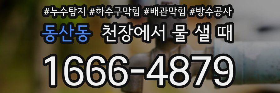 동산동 천장에서 물 샐 때