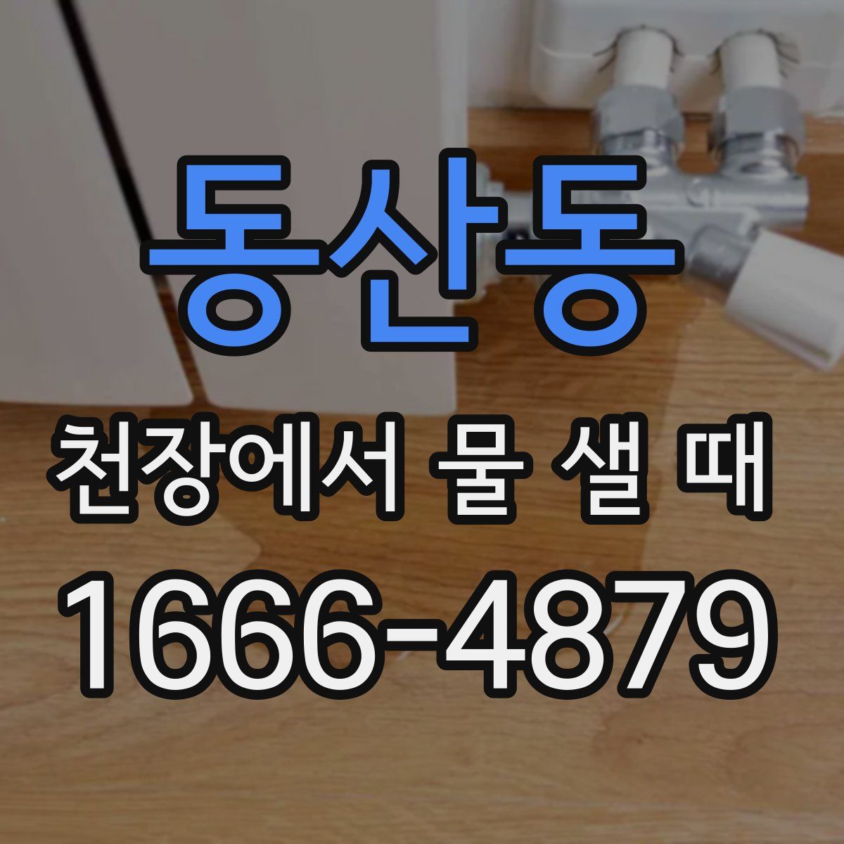 동산동 천장에서 물 샐 때