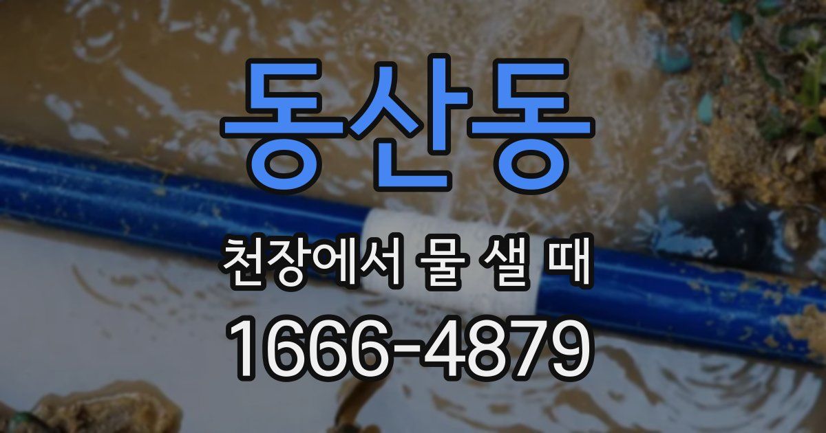 동산동 천장에서 물 샐 때